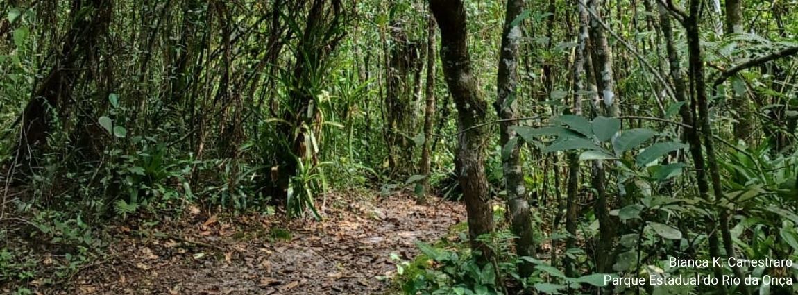 Parque Estadual do Rio da Onça